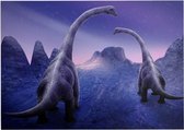 Dinosaurus langnek paar duo - Foto op Forex - 70 x 50 cm (B2)