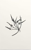 Bladtekening zwart-wit 6 - Foto op Forex - 30 x 45 cm