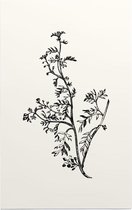 Kleine Varkenskers zwart-wit (Lesser Wart Cress) - Foto op Forex - 100 x 150 cm