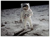 Buzz Aldrin walks on the moon (maanlanding) - Foto op Akoestisch paneel - 160 x 120 cm