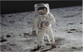 Buzz Aldrin walks on the moon (maanlanding) - Foto op Forex - 60 x 40 cm