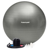 Tunturi Anti Burst Fitness bal met Pomp - Yoga bal 65 cm - Pilates bal - Zwangerschapsbal – 220 kg gebruikersgewicht - Incl Trainingsapp – Zilver