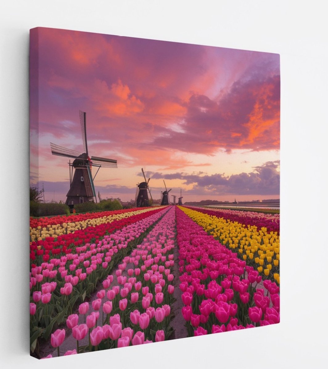 Saammp Canvas Schilderij - Nederland - Bloemen - Tulpen - Molen - Landschap - Natuur - 100x100 - Foto op canvas - Wanddecoratie - Muurdecoratie Woonkamer - Slaapkamer decoratie - Canvas Print Multicolor