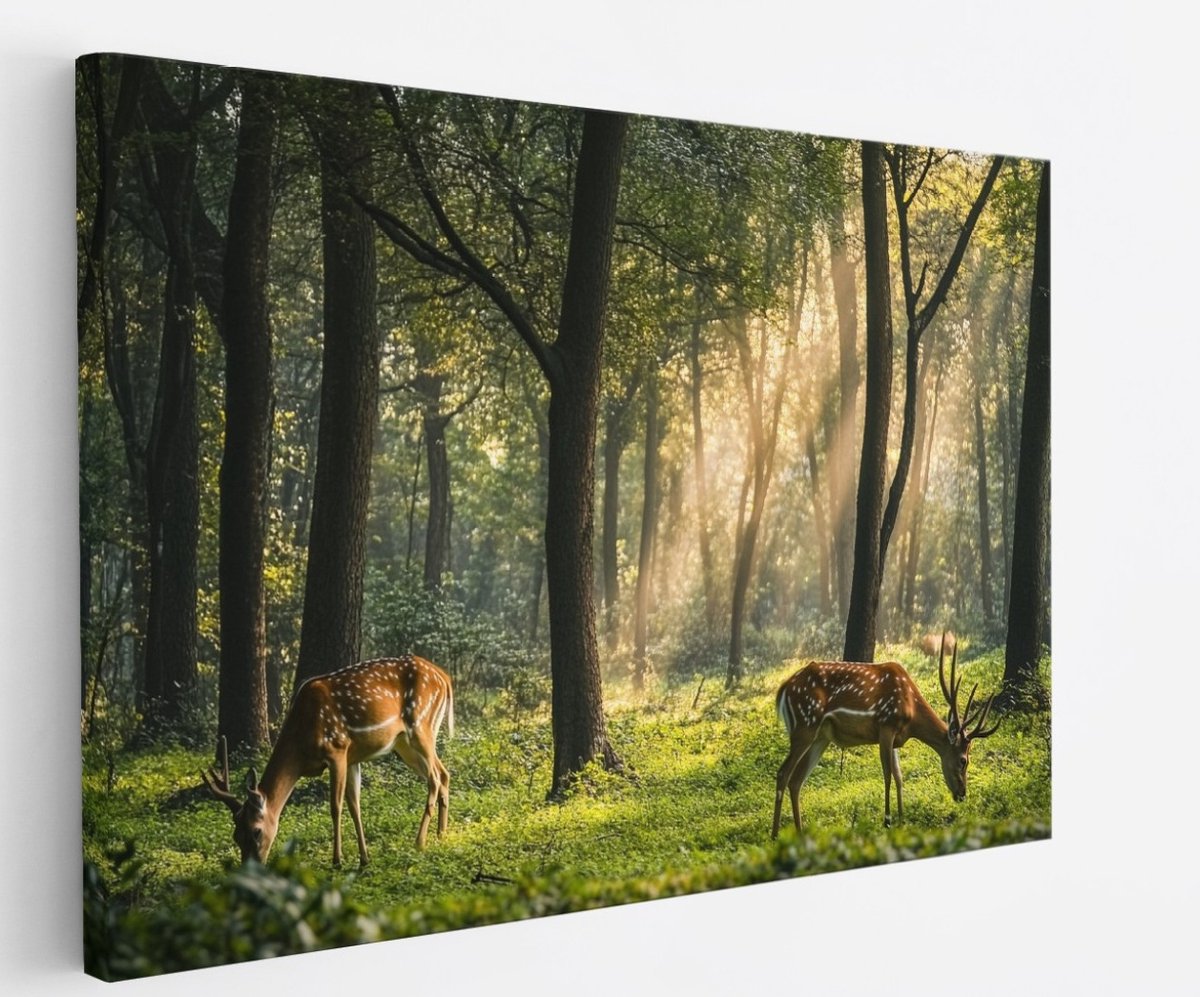 Saammp Canvas Schilderij - Hertjes in het bos - Natuur - Dieren - 150x100 - Foto op canvas - Wanddecoratie - Muurdecoratie Woonkamer - Slaapkamer decoratie - Canvas Print Multicolor