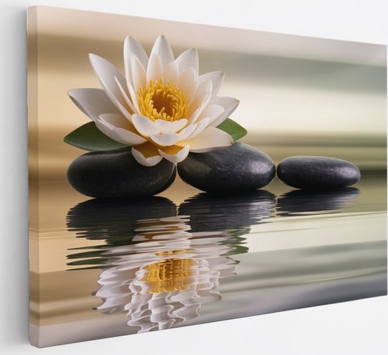 Saammp Canvas Schilderij - Lotusbloem op steen - Landschap - Natuur - 30x20 - Foto op canvas - Wanddecoratie - Muurdecoratie Woonkamer - Slaapkamer decoratie - Canvas Print