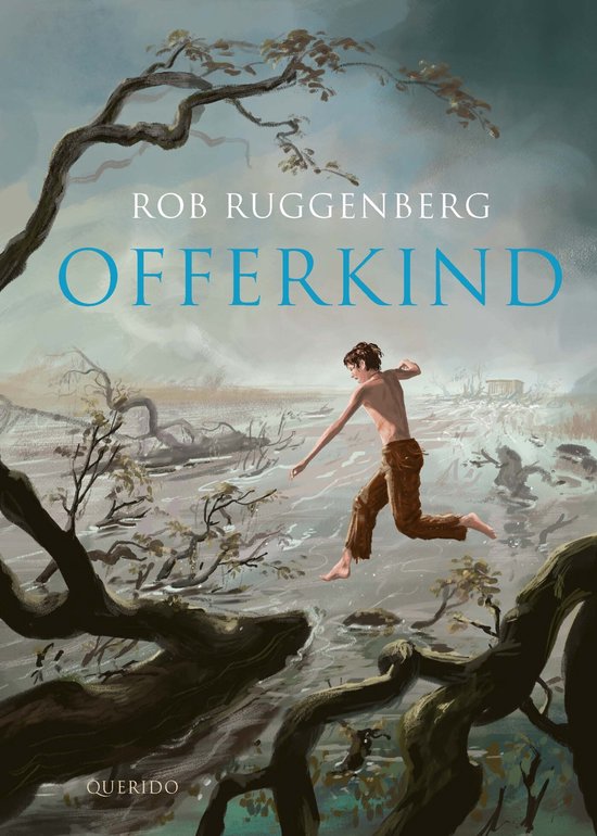 Boekomslag van Offerkind