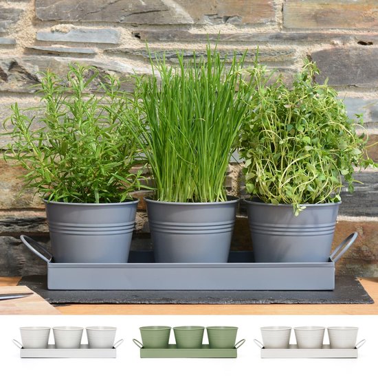 Design kruidentuin met in hoogte verstelbaar plantenlicht 20 W als kweekschaal of kruidenbed