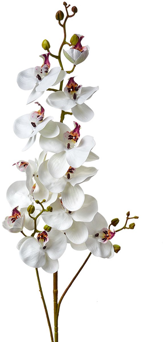 Kunstbloem - Zijden 116 cm Wit Kunststof Kunstbloemen