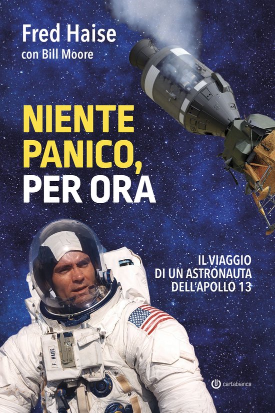 Niente panico, per ora - cover