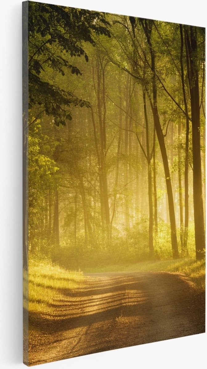 Saammp Canvas Schilderij - Weg door het bos - Bomen - Landschap - Natuur - 40x50 - Foto op canvas - Wanddecoratie - Muurdecoratie Woonkamer - Slaapkamer decoratie - Canvas Print Multicolor