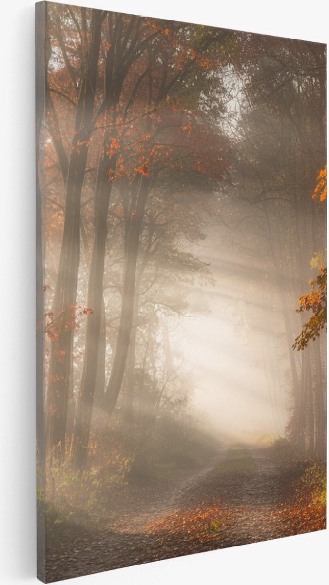 Saammp Canvas Schilderij - Bospad met zonneschijn - Nederland - Landschap - Natuur - 100x150 - Foto op canvas - Wanddecoratie - Muurdecoratie Woonkamer - Slaapkamer decoratie - Canvas Print Multicolor