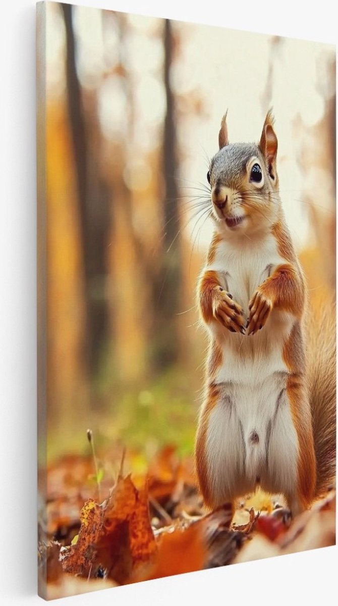 Saammp Canvas Schilderij - eekhoorn staat recht op - Natuur - Dieren - 30x45 - Foto op canvas - Wanddecoratie - Muurdecoratie Woonkamer - Slaapkamer decoratie - Canvas Print Multicolor