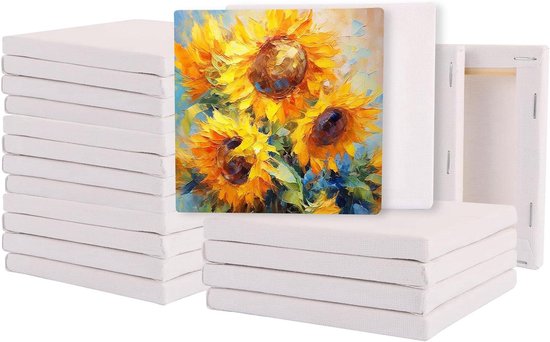 Leeg Canvas om te Schilderen (3 stuks