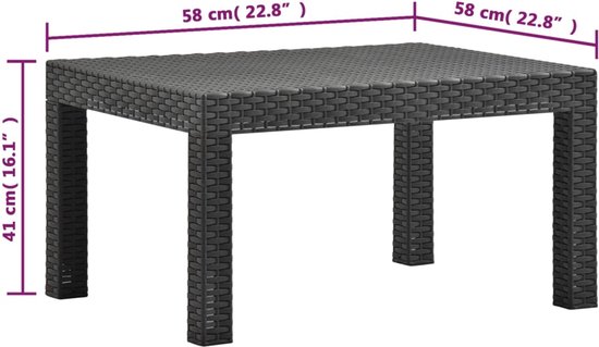 vidaXL Loungeset 2-delig - Antraciet - Rattanlook Tuinstoel - Lounge Set - Buitentijd - Relaxen - Tuinset