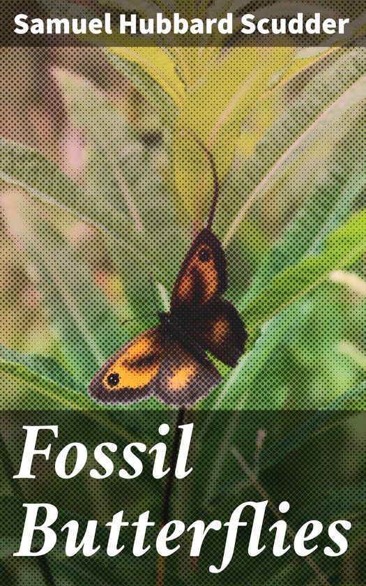 Fossil Butterflies - cover