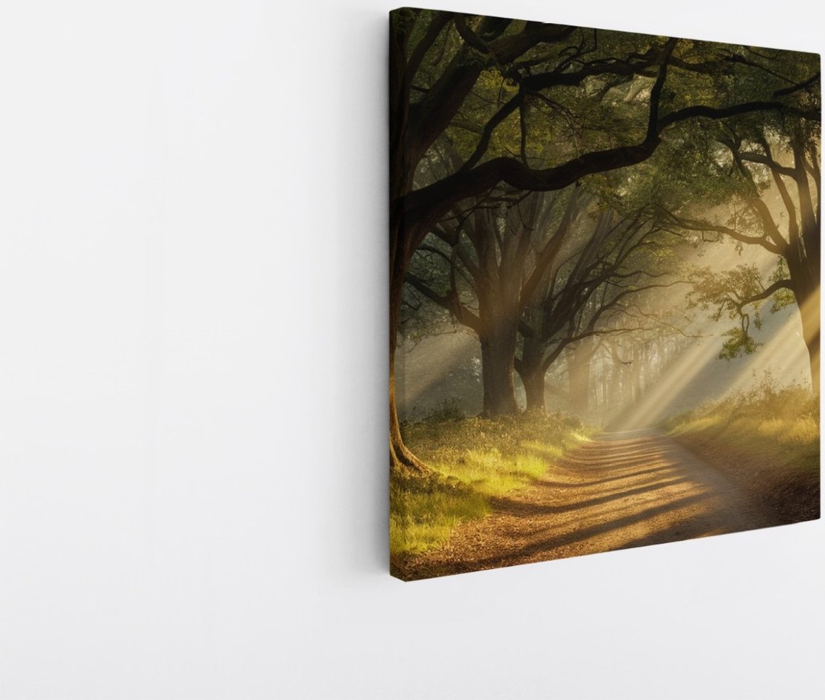 Saammp Canvas Schilderij - Landschap - Zonneschijn op een pad tussen de bomen - Natuur - 20x20 - Foto op canvas - Wanddecoratie - Muurdecoratie Woonkamer - Slaapkamer decoratie - Canvas Print Multicolor