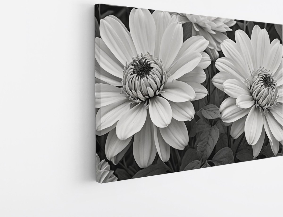 Saammp Canvas Schilderij - Zwart witte Bloemen - Natuur - Abstract - 45x30 - Foto op canvas - Wanddecoratie - Muurdecoratie Woonkamer - Kantoor Decoratie Multicolor
