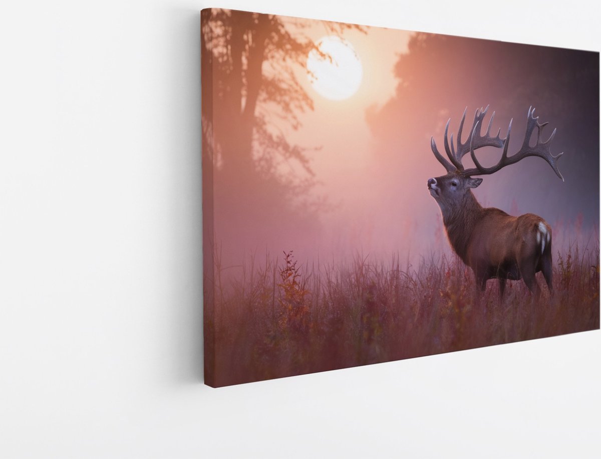 Saammp Canvas Schilderij - Hert in zonsopgang - Natuur - Dierenen - 40x30 - Foto op canvas - Wanddecoratie - Muurdecoratie Woonkamer - Slaapkamer decoratie - Canvas Print Multicolor