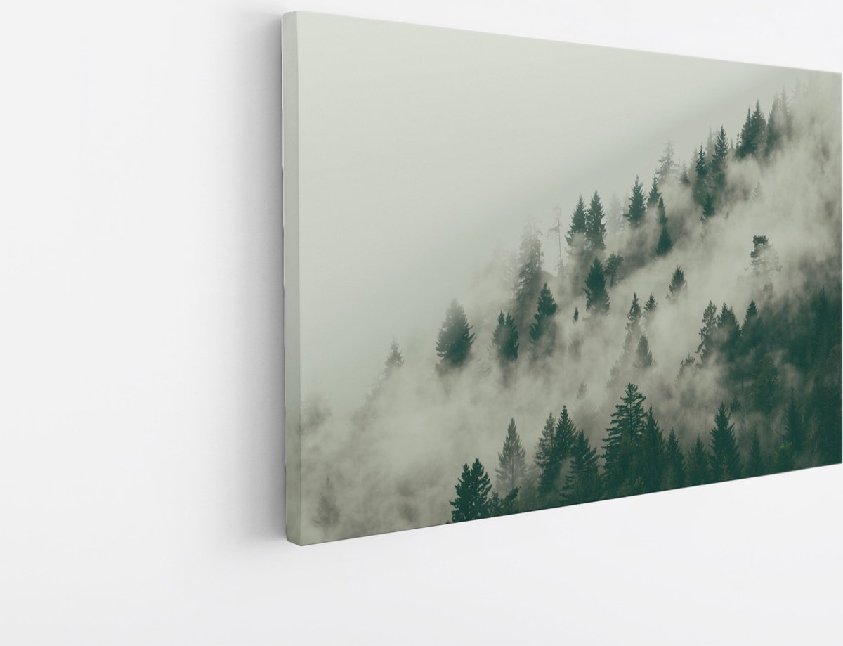 Saammp Canvas Schilderij - Mist tussen de bomen - Landschap - Natuur - 60x40 - Foto op canvas - Wanddecoratie - Muurdecoratie Woonkamer - Slaapkamer decoratie - Canvas Print Multicolor