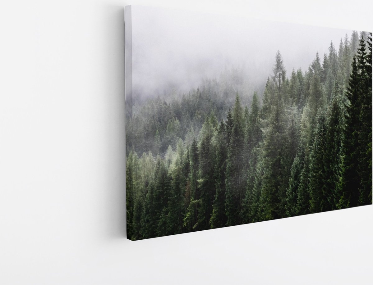 Saammp Canvas Schilderij - Naaldbomen tussen de mist - Landschap - Natuur - 150x100 - Foto op canvas - Wanddecoratie - Muurdecoratie Woonkamer - Slaapkamer decoratie - Canvas Print Multicolor
