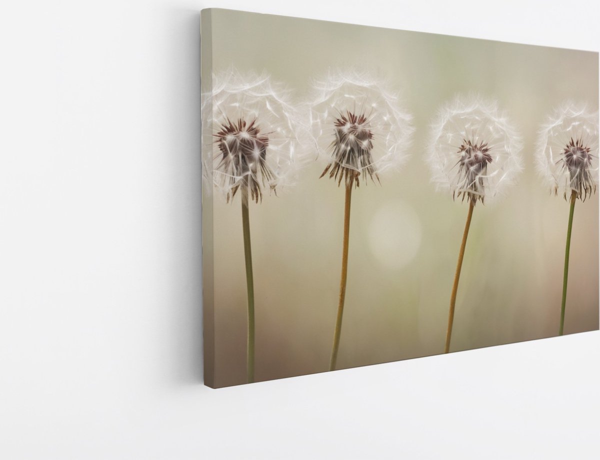 Saammp Canvas Schilderij - 4 Paardebloemen - Abstract - 100x75 - Foto op canvas - Wanddecoratie - Muurdecoratie Woonkamer - Kantoor Decoratie Multicolor