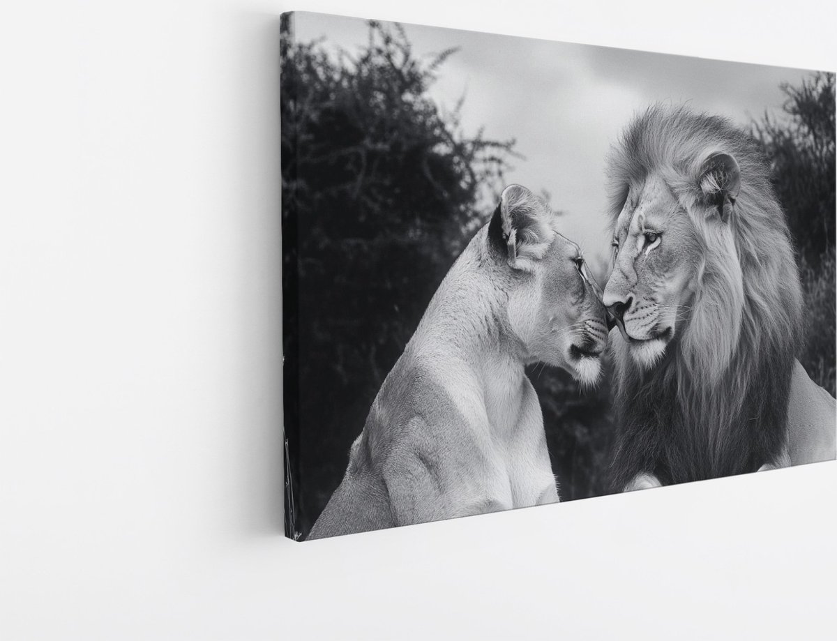 Saammp Canvas Schilderij - Zwart-wit - Leeuw - Leeuwin - Dieren - Liefde - 90x60 - Foto op canvas - Wanddecoratie - Muurdecoratie Woonkamer - Slaapkamer decoratie - Canvas Print Multicolor