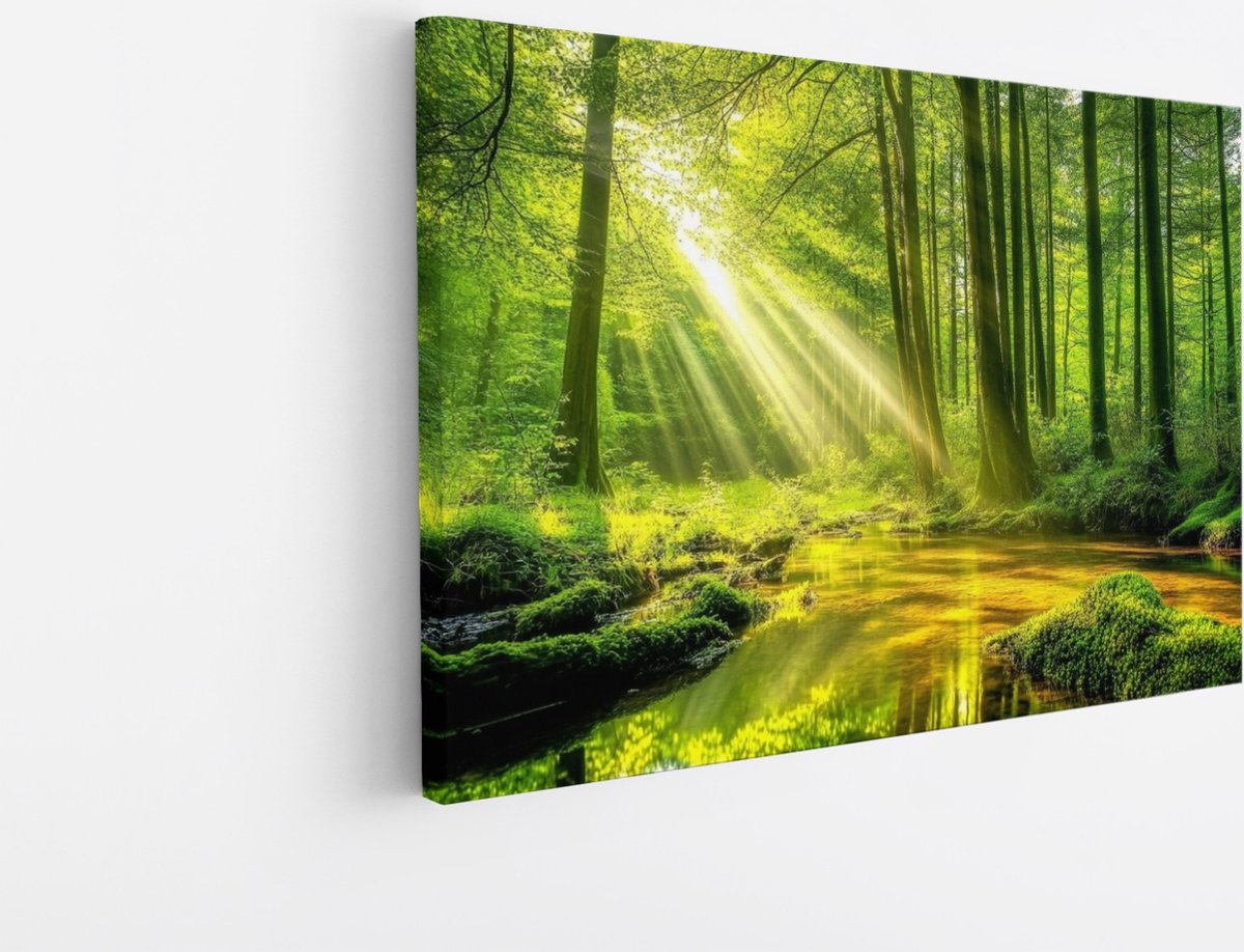 Saammp Canvas Schilderij - Moerras - Zon - Landschap - Natuur - 90x60 - Foto op canvas - Wanddecoratie - Muurdecoratie Woonkamer - Slaapkamer decoratie - Canvas Print Multicolor