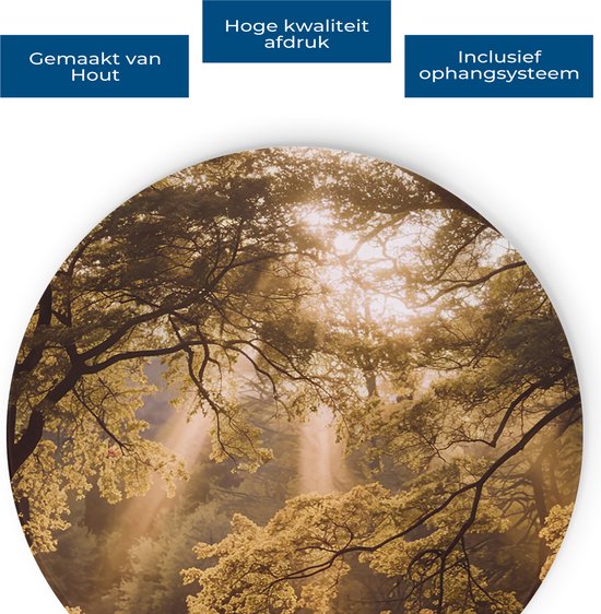 Saammp Wall Circle Bois - Incidence lumineuse - Arbres - Paysage - Nature - Ø 70 - Cercle mural - Décoration murale Cercle - Décoration murale Salon - Décoration chambre - Peinture ronde