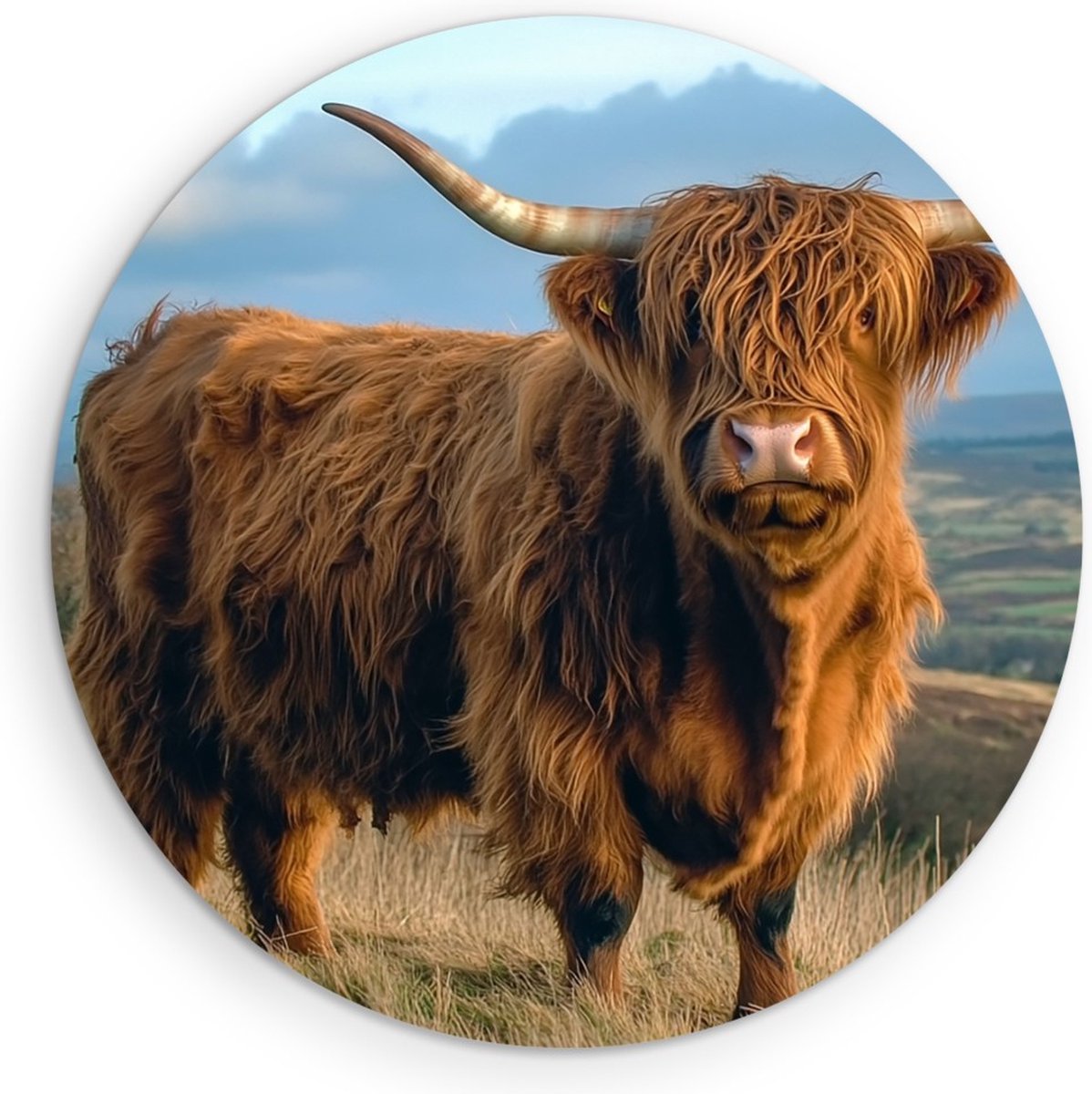 Saammp Muurcirkel Hout Schotse Hooglander Koe tussen de mist - Dieren - Natuur - Ø 50 - Wa
