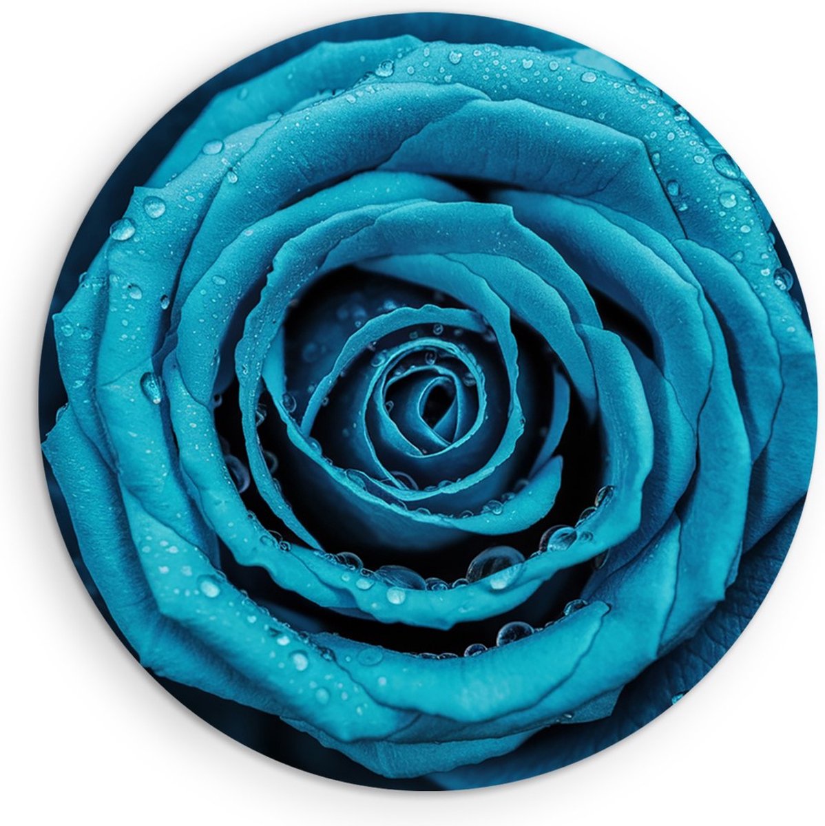 Saammp Muurcirkel Hout - Blauwe Roos Met Waterdruppels - Natuur - Abstract - Ø 40 - Wandcirkel - Wanddecoratie Cirkel - Muurdecoratie Woonkamer - Kantoor Decoratie