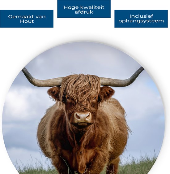 Saammp Cercle Mural Bois - Vache Highlander Écossaise dans le pré - Nature - Animaux - Ø 40 - Cercle Mural - Décoration murale - Décoration murale Murale Salon - Décoration Chambre - Tableau Rond