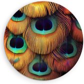 Saammp Muurcirkel Hout - Pauwveren - Natuur - Dieren - Ø 60 - Wandcirkel - Wanddecoratie Cirkel - Muurdecoratie Woonkamer - Slaapkamer decoratie - Rond Schilderij