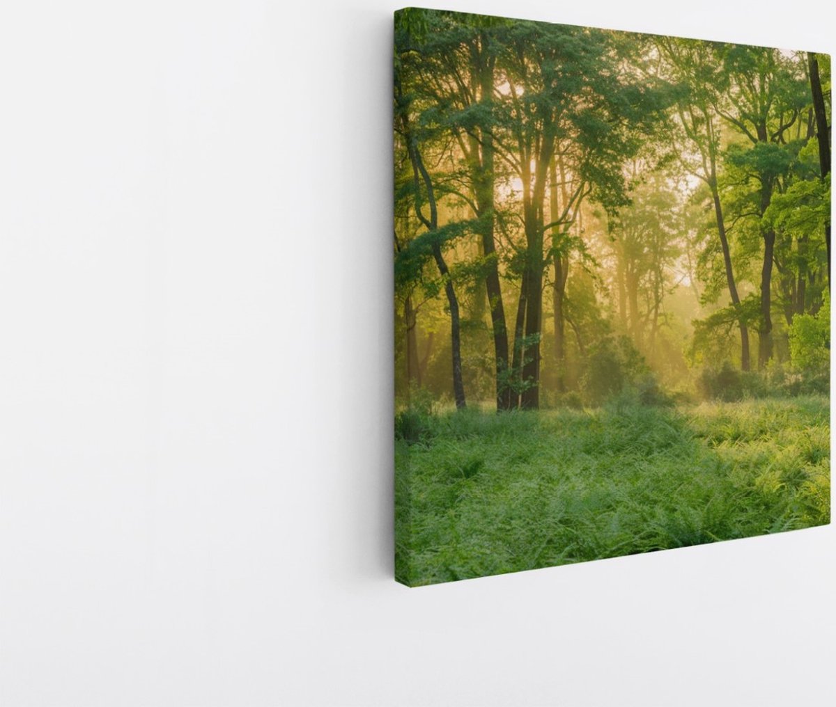 Saammp Canvas Schilderij - bos - Grote Bomen - Landschap - Natuur - 100x100 - Foto op canvas - Wanddecoratie - Muurdecoratie Woonkamer - Slaapkamer decoratie - Canvas Print Multicolor