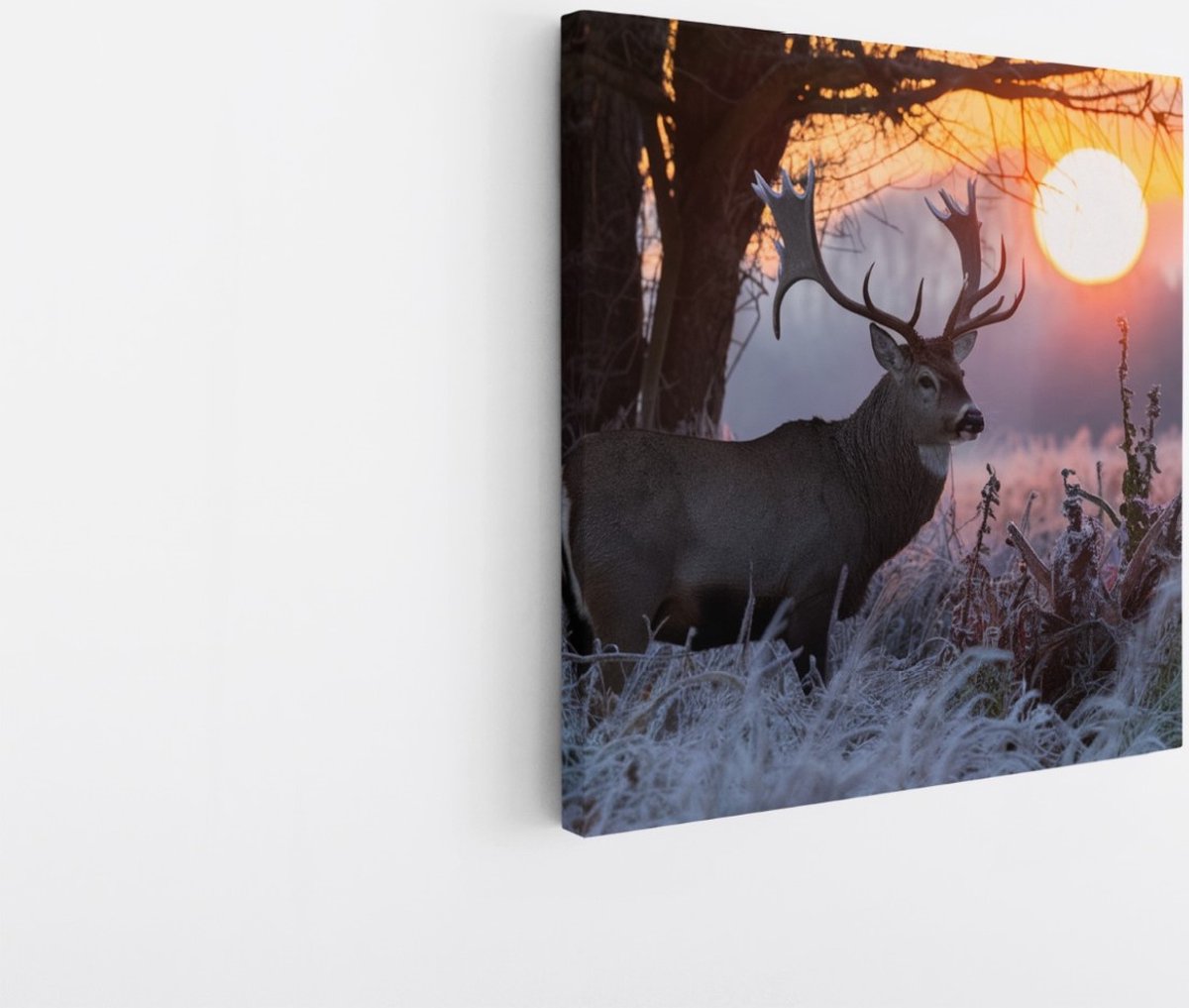 Saammp Canvas Schilderij - Hert - Winter - Natuur - Dieren - 100x100 - Foto op canvas - Wanddecoratie - Muurdecoratie Woonkamer - Slaapkamer decoratie - Canvas Print Multicolor