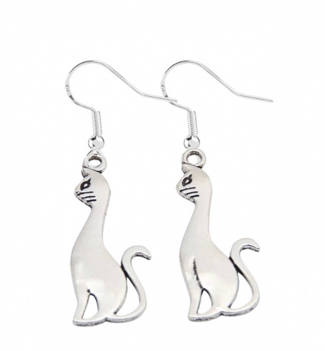Lange oorbellen Poes-Zilver haken -Charme Bijoux