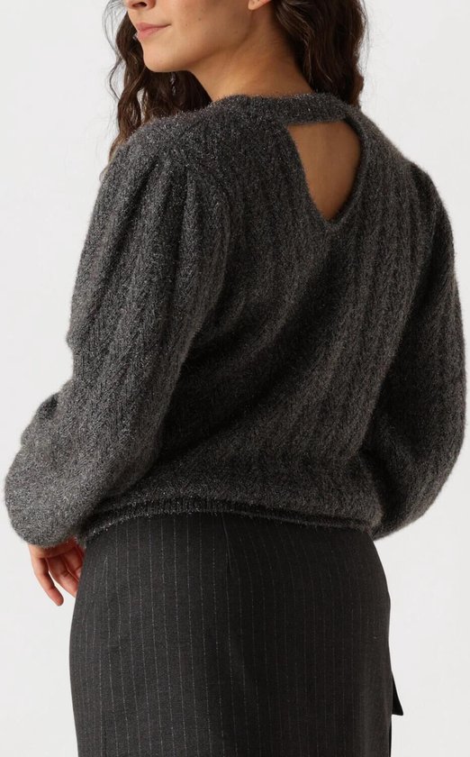 AAIKO Femme Pes 377 Truien & vesten Dames - Sweater - Hoodie - Vest- Grijs - Maat XXL