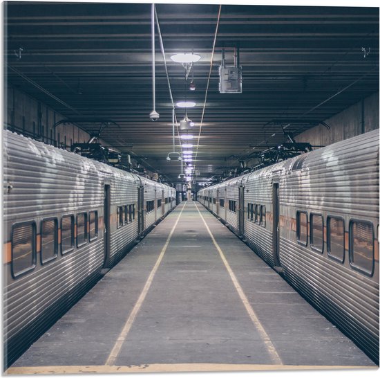 Acrylglas - Trein Station met twee Stilstaande Treinen - 50x50 cm Foto op Acrylglas (Met Ophangsysteem)