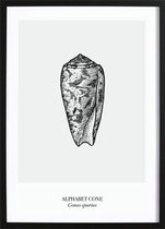 Alphabet Cone (21x29,7cm) - Wallified - Tropisch - Poster - Print - Wall-Art - Woondecoratie - Kunst - Posters