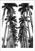 Palmtrees 2 (50x70cm) - Wallified - Tropisch - Poster - Print - Wall-Art - Woondecoratie - Kunst - Posters