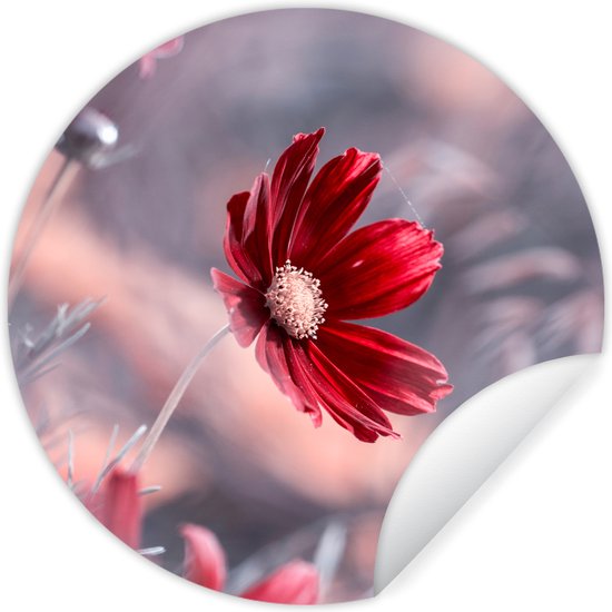 WallCircle - Stickers muraux - Cercle de papier peint - Fleurs - Rouge - Nature - Plantes - ⌀ 30 cm - Cercle mural - Autocollant - Sticker mural rond