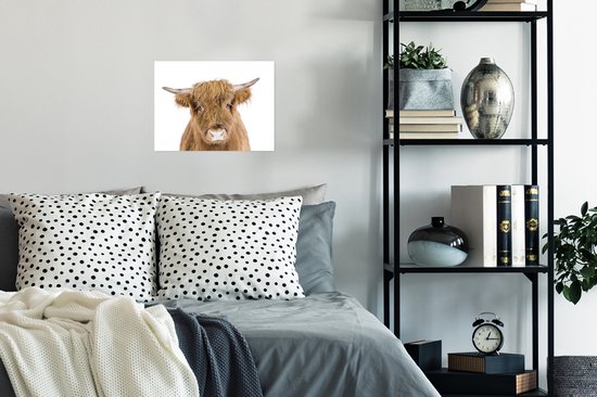 Highlander écossais - Animaux - Marron - Nature