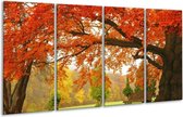 GroepArt - Glasschilderij - Herfst - Oranje, Groen, Geel - 160x80cm 4Luik - Foto Op Glas - Geen Acrylglas Schilderij - 6000+ Glasschilderijen Collectie - Wanddecoratie