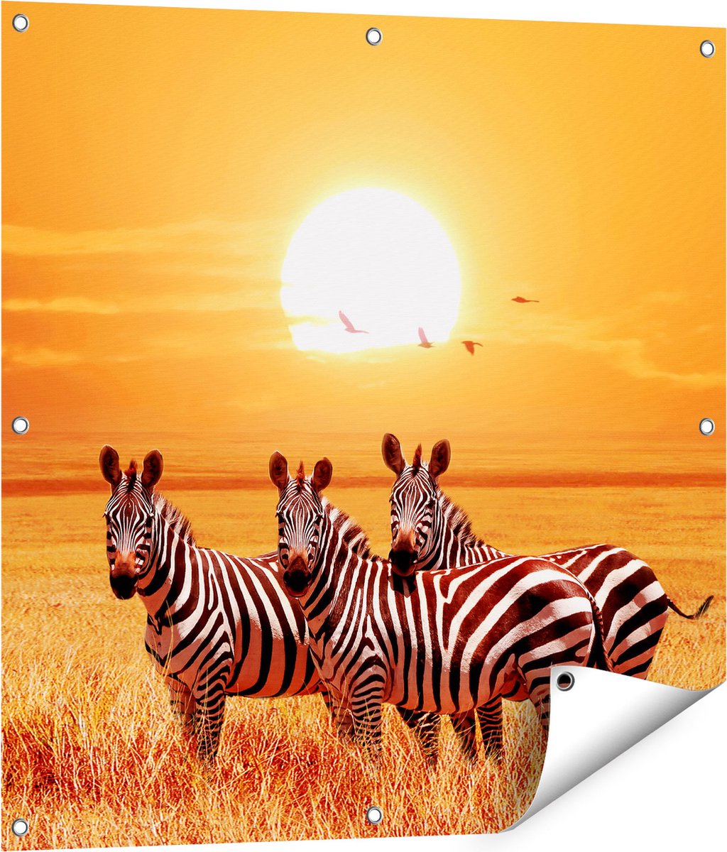 Gards Tuinposter Drie Zebra's bij Zonsondergang - 80x80 cm - Tuindoek - Tuindecoratie - Wanddecoratie buiten - Tuinschilderij Multikleur
