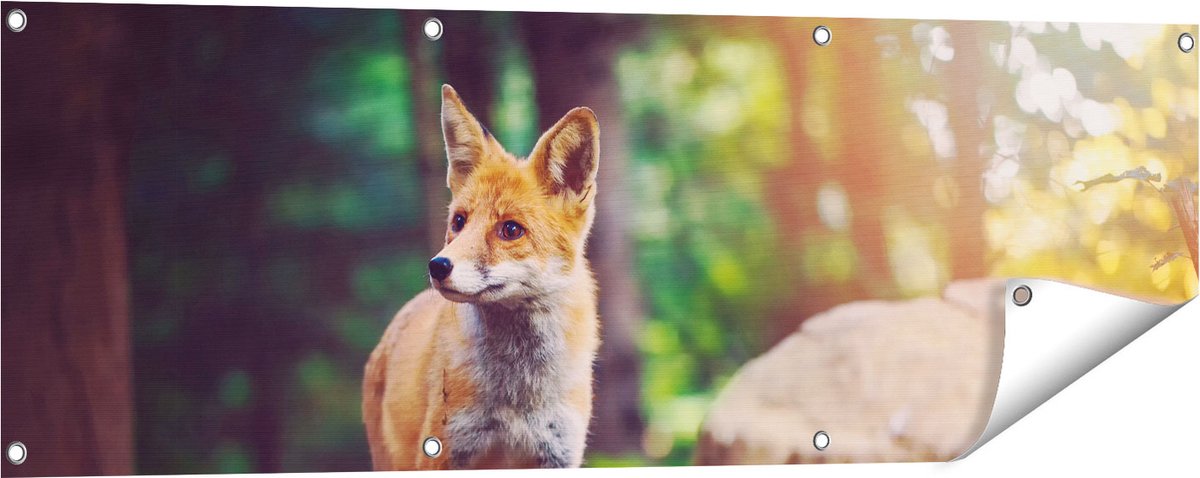 Gards Tuinposter Vos in het Bos bij Stenen - 120x40 cm - Tuindoek - Tuindecoratie - Wanddecoratie buiten - Tuinschilderij Multikleur