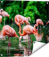 Gards Tuinposter Kudde Flamingo's in de Jungle in het Water - 60x60 cm - Tuindoek - Tuindecoratie - Wanddecoratie buiten - Tuinschilderij