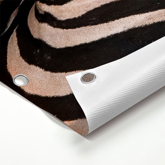 Affiche de jardin du Gards Deux Zèbres câlins - 80x80 cm - Toile de jardin - Décoration de jardin - Décoration murale extérieure - Tableau de jardin