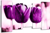 GroepArt - Canvas Schilderij - Tulp - Paars, Wit, Zwart - 150x80cm 5Luik- Groot Collectie Schilderijen Op Canvas En Wanddecoraties