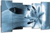 GroepArt - Canvas Schilderij - Bloem - Blauw - 150x80cm 5Luik- Groot Collectie Schilderijen Op Canvas En Wanddecoraties