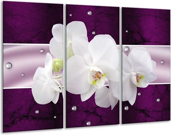 Glasschilderij Orchidee | Zwart, Wit, Paars | | Foto print op Glas |  F005616