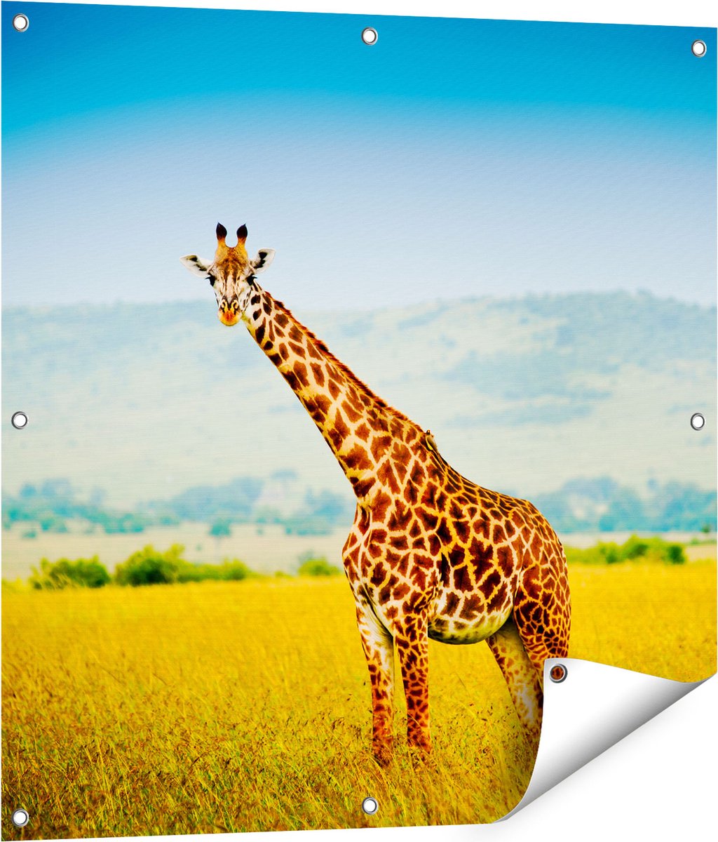 Gards Tuinposter Giraffe in het Veld - 80x80 cm - Tuindoek - Tuindecoratie - Wanddecoratie buiten - Tuinschilderij Multikleur